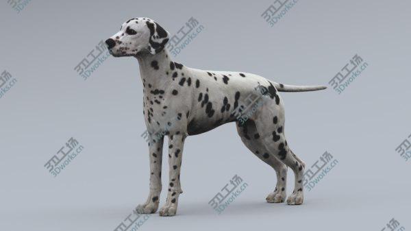 images/goods_img/20210312/Dalmatian Rigged 3D model/3.jpg